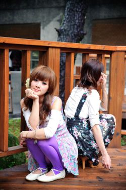 向涟苍士献上纯洁